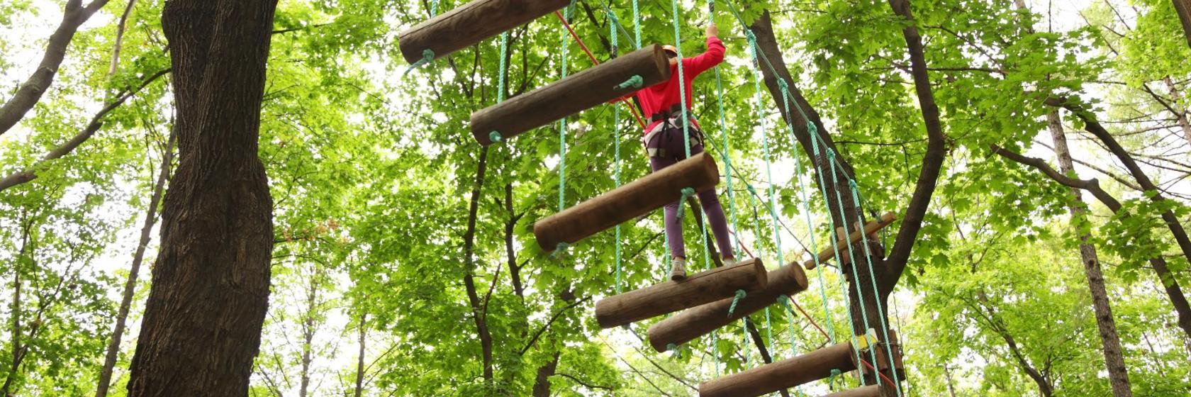 Park linowy Jungle Parc